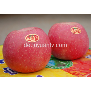 Neuer frischer Fuji-Apfel mit hoher Qualität